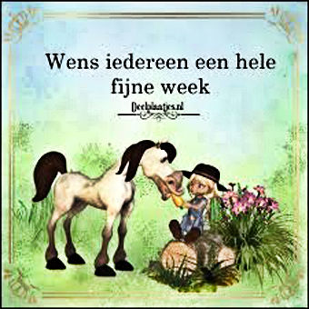 Week