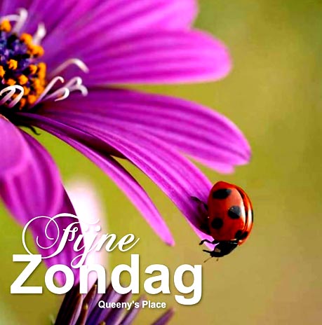 057-jpg-henk