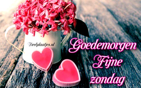 deelplaatjes-nl-goedemorgen-fijne-zondag-een-warme-groet-442736