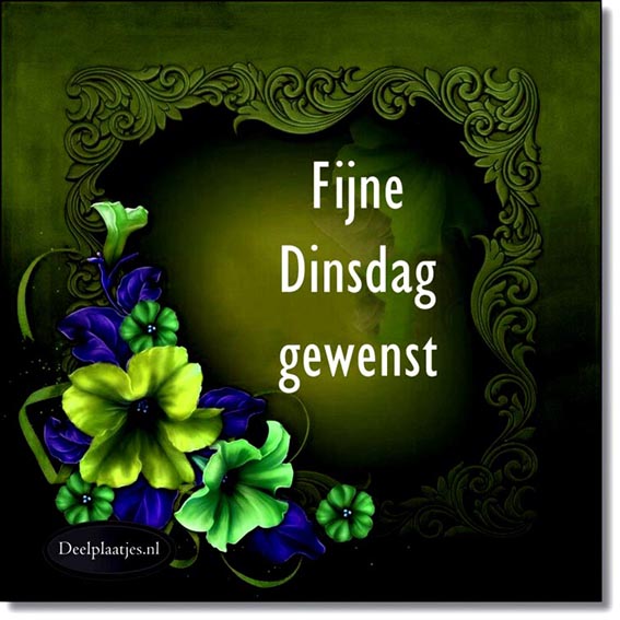deelplaatjes-nl-fijne-dinsdags-419544