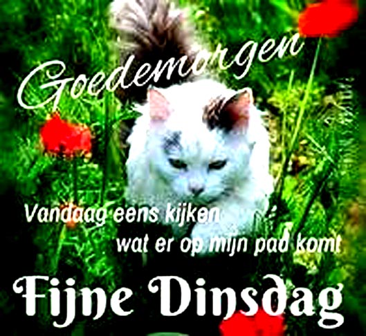 OIP