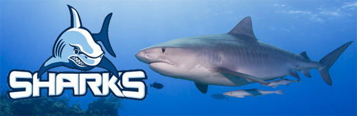 Sharks