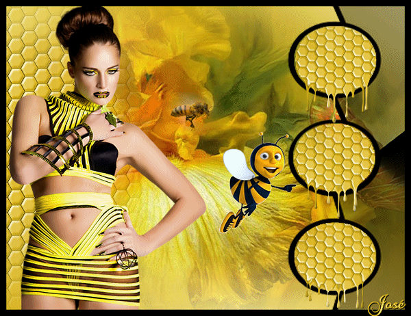 An den Beitrag angehängtes Bild: http://i.postimg.cc/c4SWnJjS/Animation2-my-honey-bee.gif