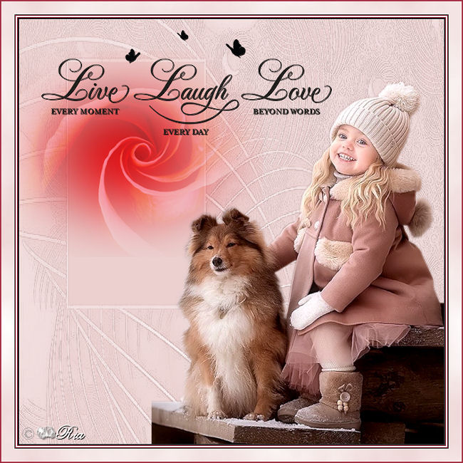 An den Beitrag angehängtes Bild: http://i.postimg.cc/cH90xYkD/live.jpg