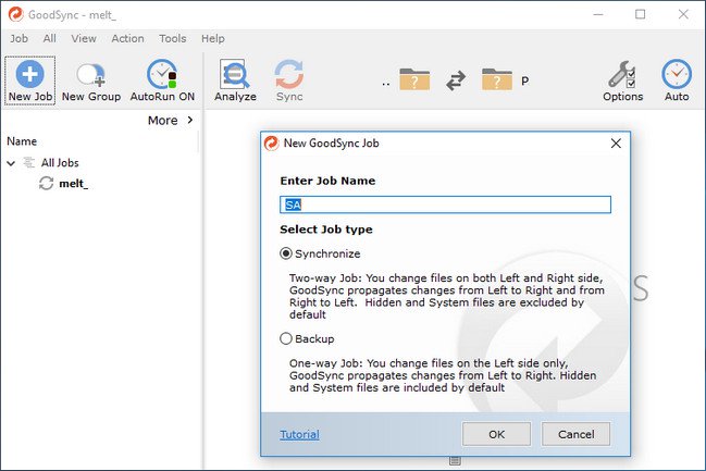 GoodSync Enterprise 10.9.24.4 Multilingual