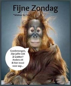 fijne-zondag-a