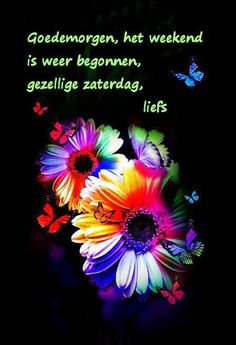 b8a329c9fb76b29f173a1420fa0afb25
