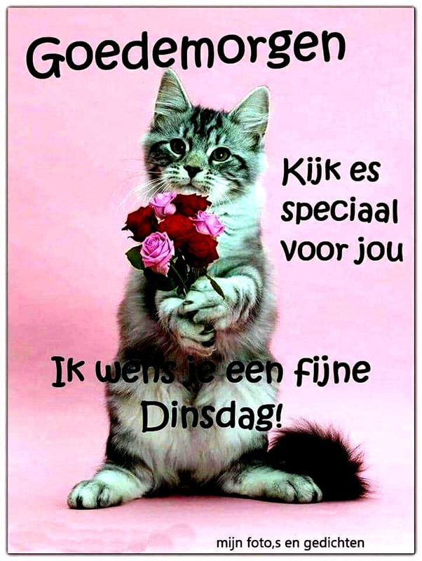 636b6dcc7f4ff279035aa5dd5400a736