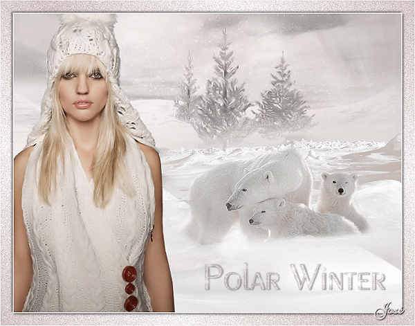 An den Beitrag angehängtes Bild: http://i.postimg.cc/fRLd8XKZ/Animation4-polar-winter.gif