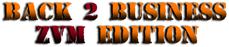 B2B-ZVM-LOGO-v2.png