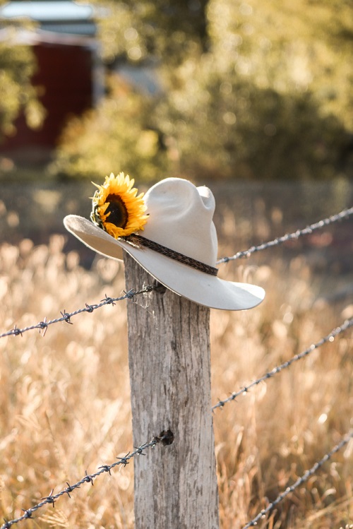 Cowboy Hat Cowboy Hat