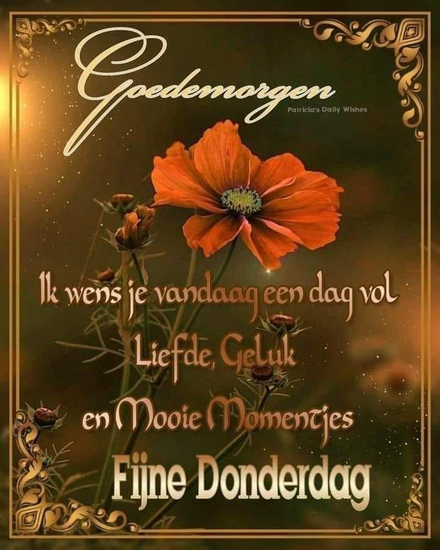 50d116a1355ff10cb9e326d543e4ea40