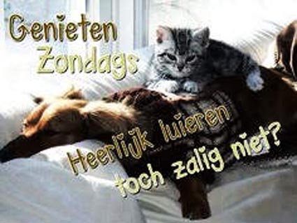 fijne-zondag
