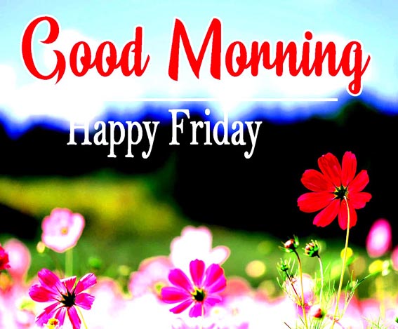 friday-now33bwfqki0mpir