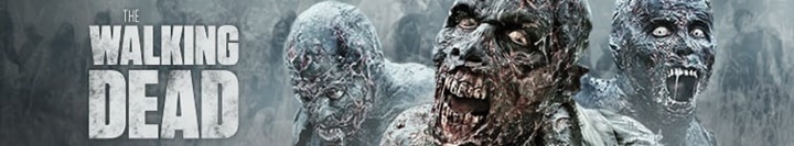 The Walking Dead S10 COMPLETE WEBRip x264-ION10 The Walking Dead S10 COMPLETE WEBRip x264-ION10