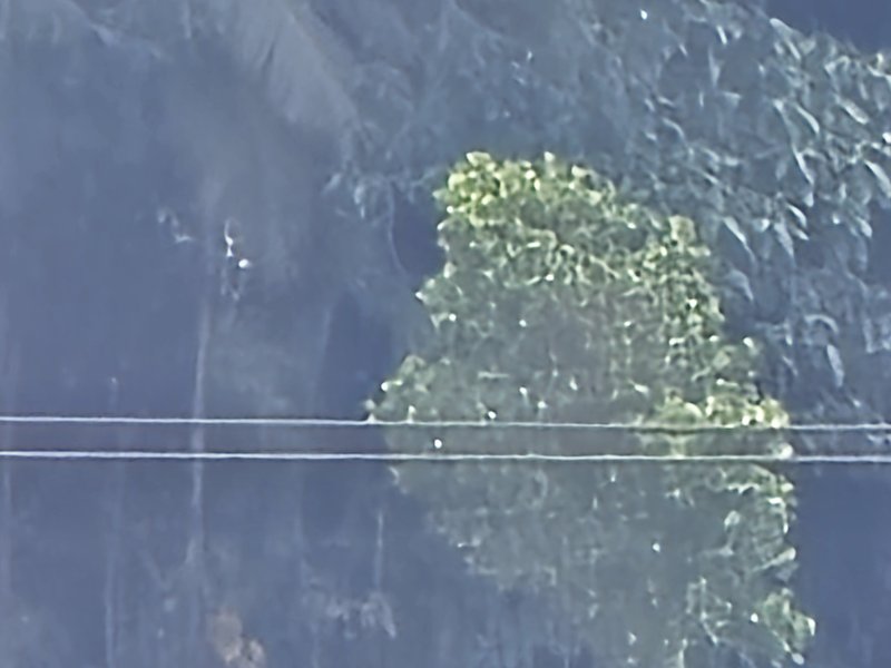 20240311-143747.jpg