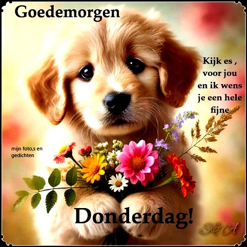 5ae342749375f39f9dbf1206b203be23