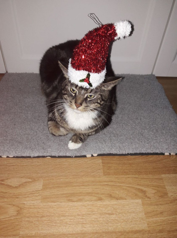 25358369-1315249075247063-2188550443770141015-o-kopie