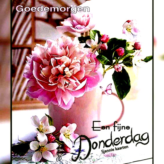 bdf89d89ca4edf6d6ae37d1840f1503a