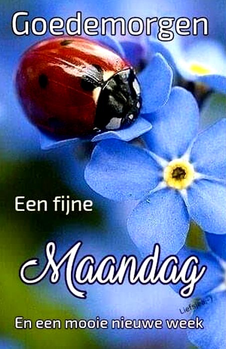 96c266928157ee04ed3984ae4664f7cc