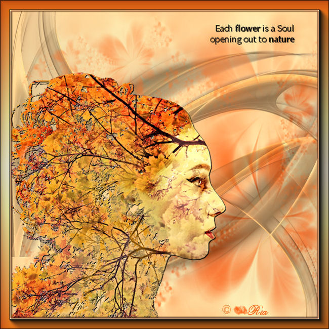 An den Beitrag angehängtes Bild: http://i.postimg.cc/kGKj0bKF/nature.jpg