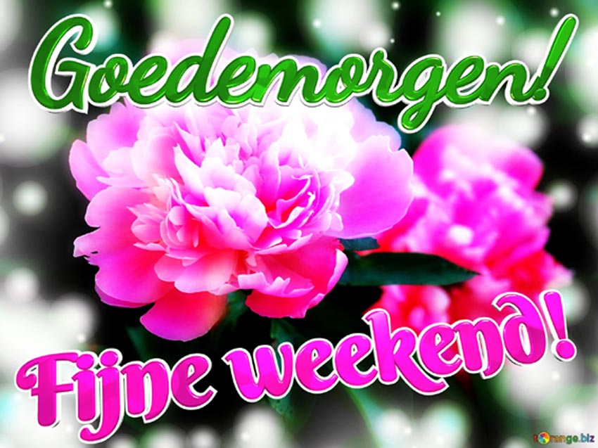 goedemorgen-fijne-weekend-loves-radiance-peonies-blossom-greetings-symphony-10740