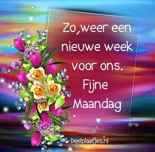 deelplaatjes-nl-weer-een-nieuwe-week-414774