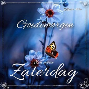 72b9d1cfb85b7ab9a6d57275fb20d23a