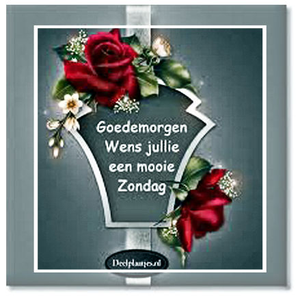 download-jpg-henk