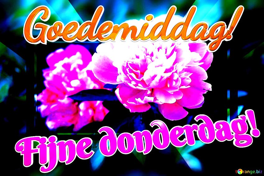 goedemiddag-fijne-donderdag-peonies-flower-bouquet-loves-greetings-background-elegance-10745