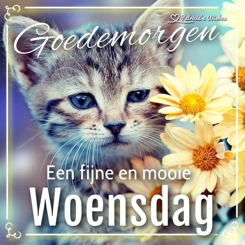 1c8ff0f72c8bc7b42bbeca4e7d91f5a7