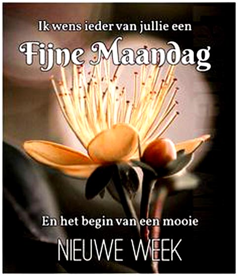 82ea703c47859fcc14c2f4a2b0e63613