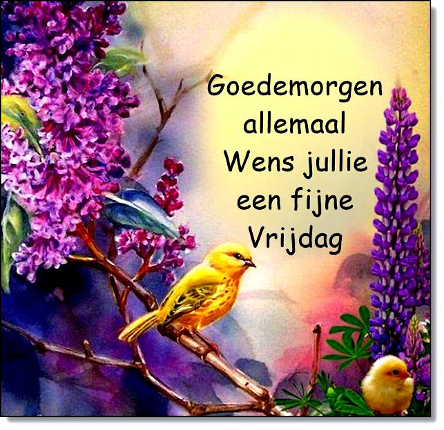 deelplaatjes-nl-wens-jullie-een-fijne-en-stralende-vrijdag-toe-447688