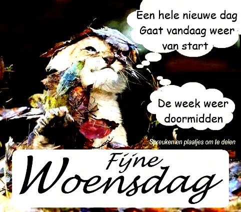 802117179c767a3ddbb0d95947d2f9d3