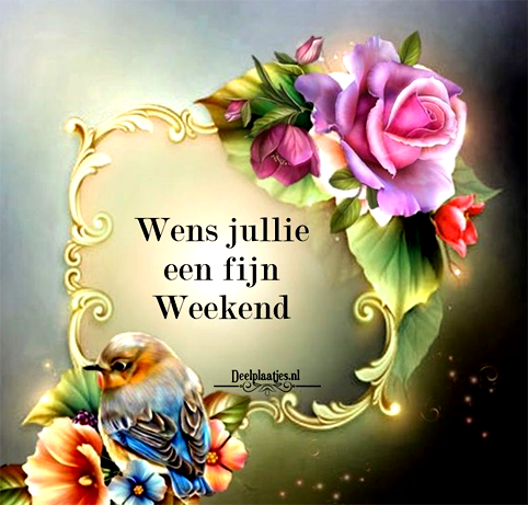 97f6d625578da1efb19d58bdf6c5a0e1