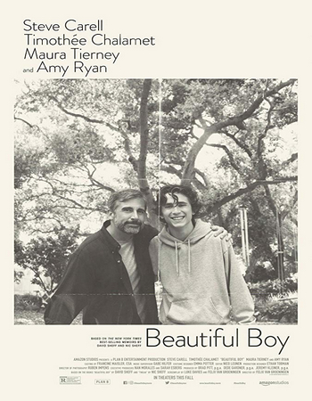 Download Beautiful Boy (2018) 720p WEB-DL 950MB
