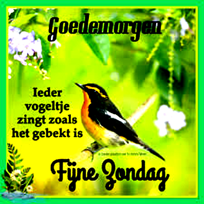 Zondag