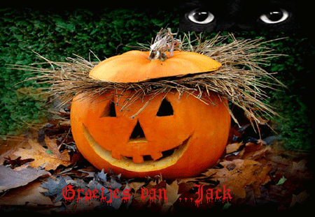 An den Beitrag angehängtes Bild: http://i.postimg.cc/nhcFHwMp/450-pompoenen-halloween-uithollen-10.gif