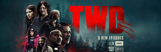 The Walking Dead S10E17 WEBRip x264-ION10 The Walking Dead S10E17 WEBRip x264-ION10