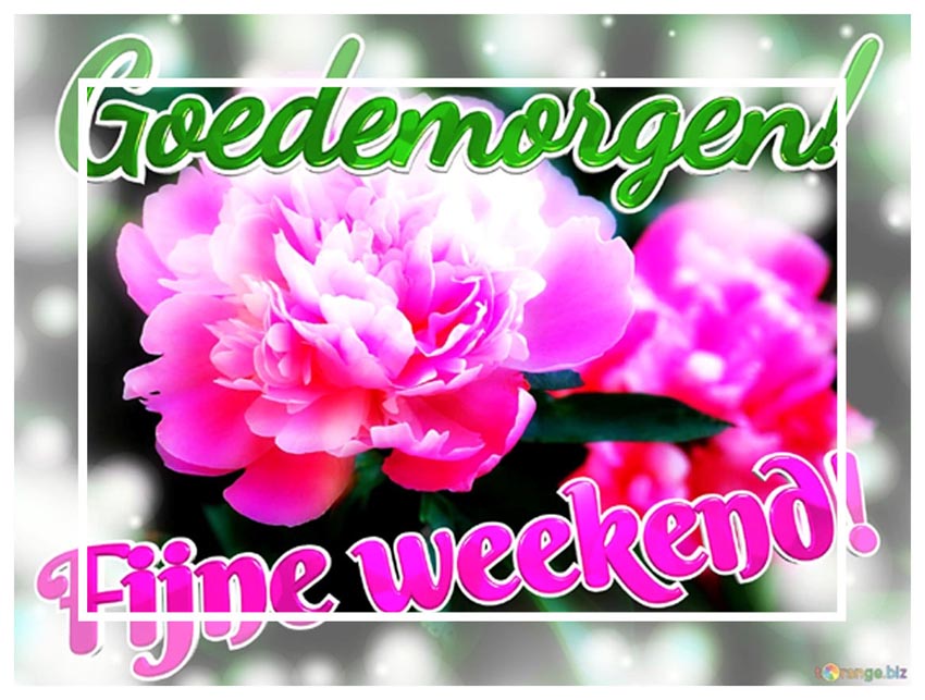 goedemorgen-fijne-weekend-loves-radiance-peonies-blossom-greetings-symphony-10740