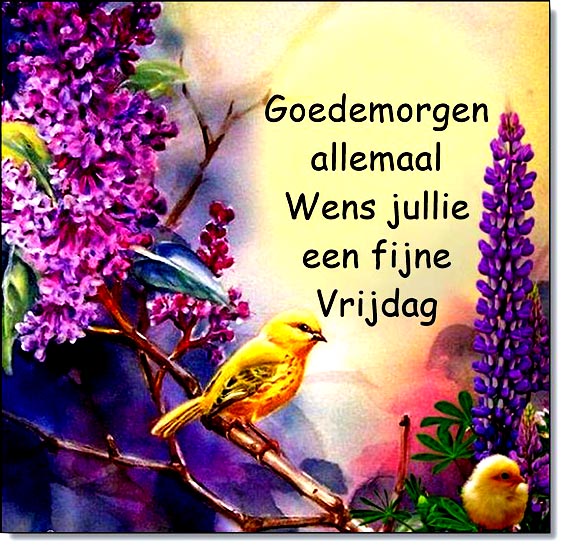 deelplaatjes-nl-wens-jullie-een-fijne-en-stralende-vrijdag-toe-447688