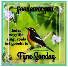 zondag