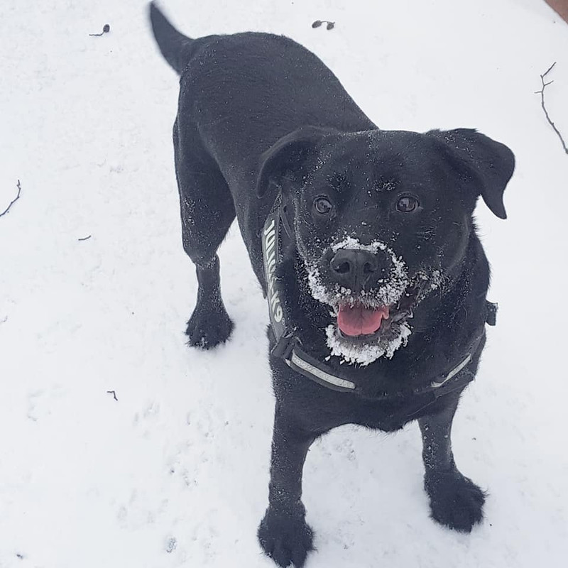 476341965-8598650286906869-5219784921156211129-n