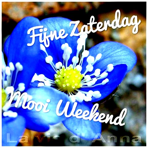 f3004ea87baccc13fc17aceff0856a4c