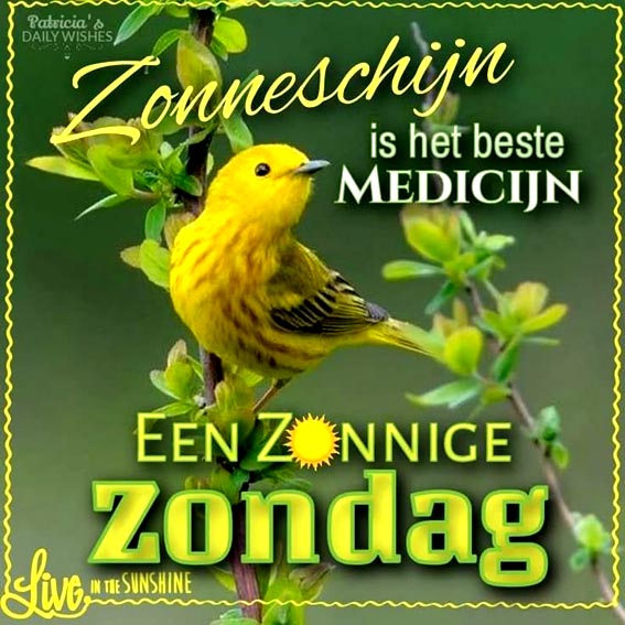 e4871955866dc2095a4f9c35771a7c95