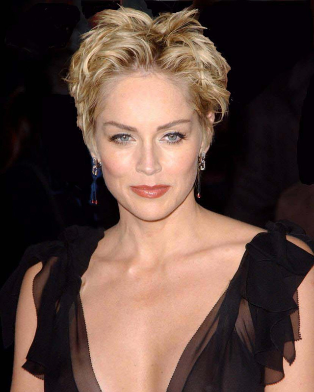 Sharon Stone 2024 Mittlblond Haar & unkonventionell Haarstil.
