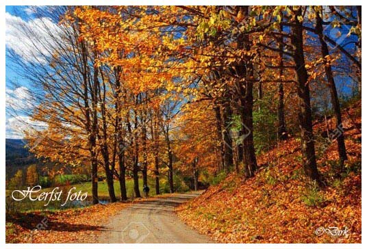 An den Beitrag angehängtes Bild: http://i.postimg.cc/rphVL3vH/Herfst.jpg