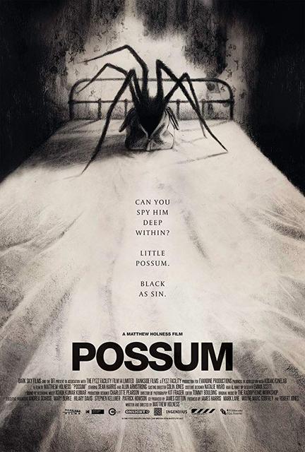 Possum (2018) PL-SUB.1080p.WEB-DL.DD5.1.H264-FGT / POLSKIE NAPISY Possum (2018) PL-SUB.1080p.WEB-DL.DD5.1.H264-FGT / POLSKIE NAPISY