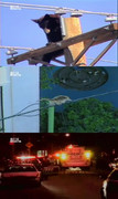 Great Animal Escapes S01E10 720p HDTV x264-CBFM