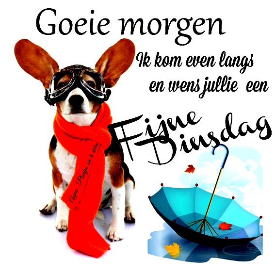 animaatjes-facebook-plaatjes-dinsdag-goedemorgen-ik-kom-even-langs-en-wens-jullie-een-fijne-dinsdag